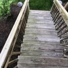 Deck Cleaning Algae in Indianapolis, IN 3