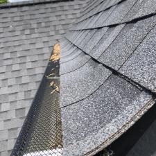 Gutter-Cleaning-in-Chatham-Hills-Westfield-Indiana 3